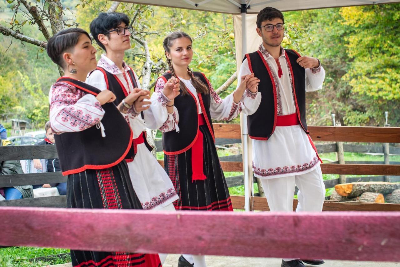 Cabana „Stana Din Deal” Provita de Sus Bagian luar foto